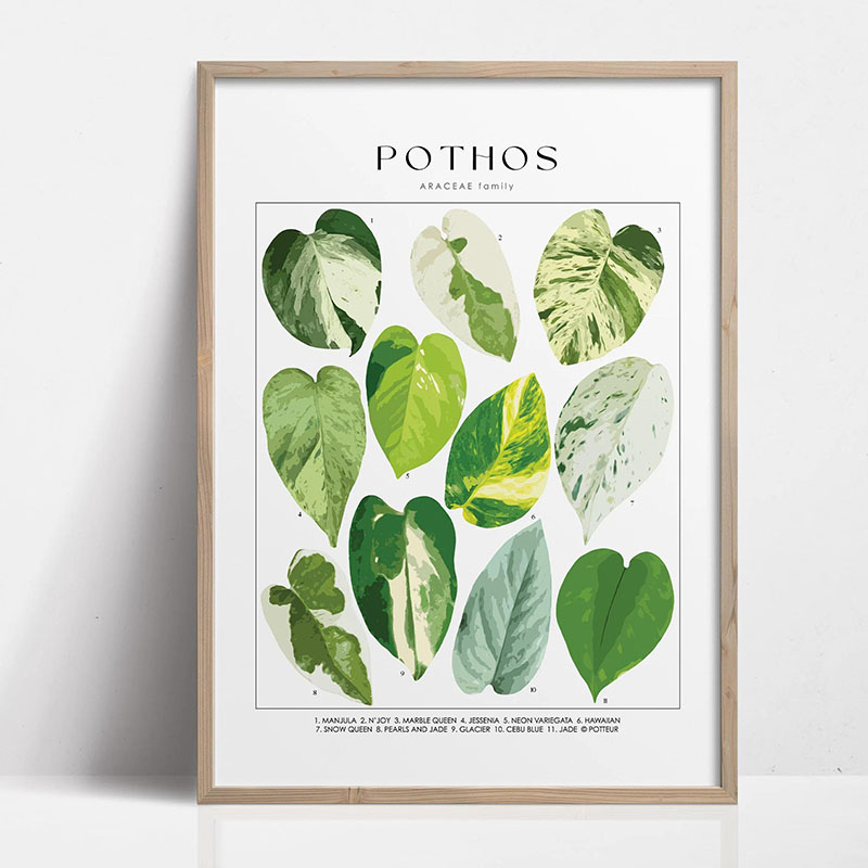 1pc Modern Houseplants Leaves  - Art Craft House ulasan dan harga