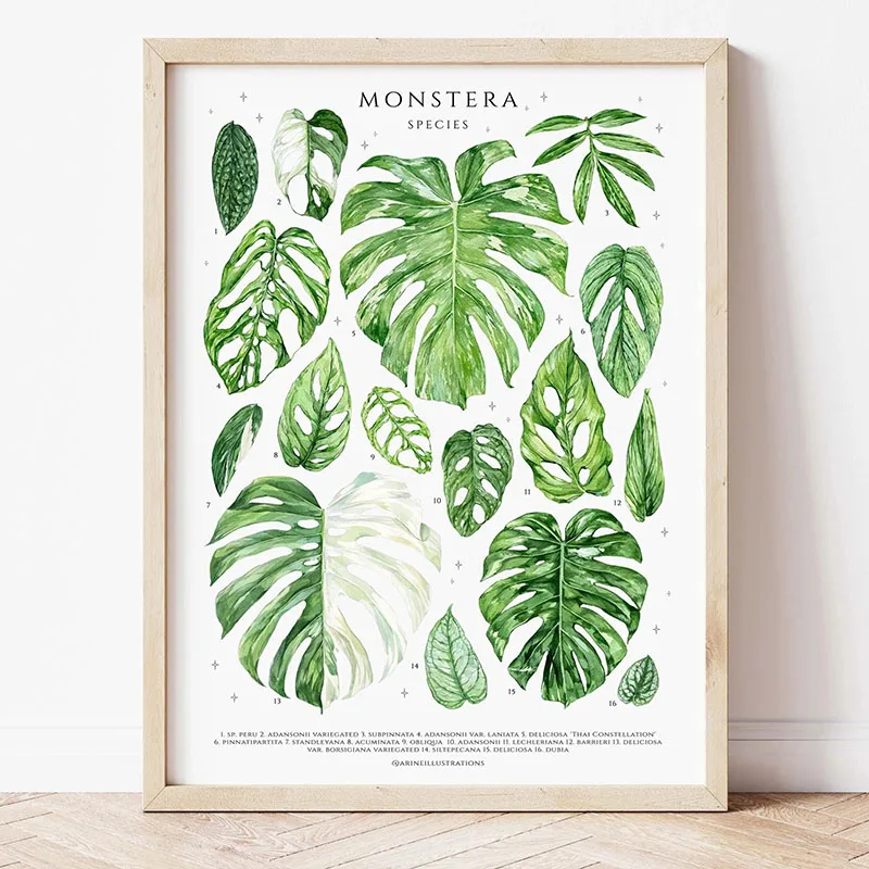 1pc Modern Houseplants Leaves  - Art Craft House ulasan dan harga