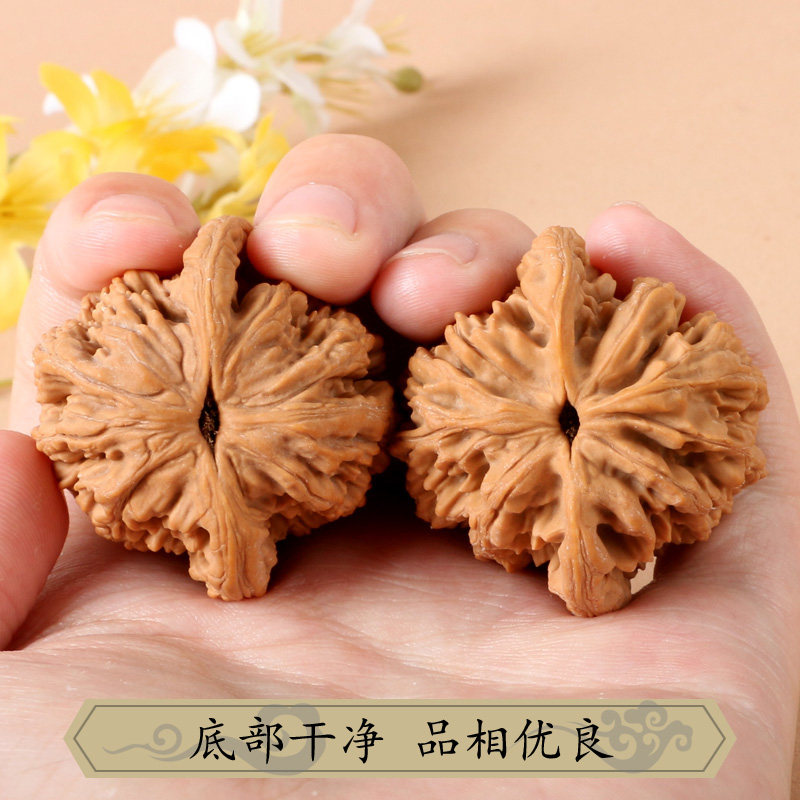 Natural Wenwan Walnut Hand Mas - Art Craft Lion ulasan dan harga