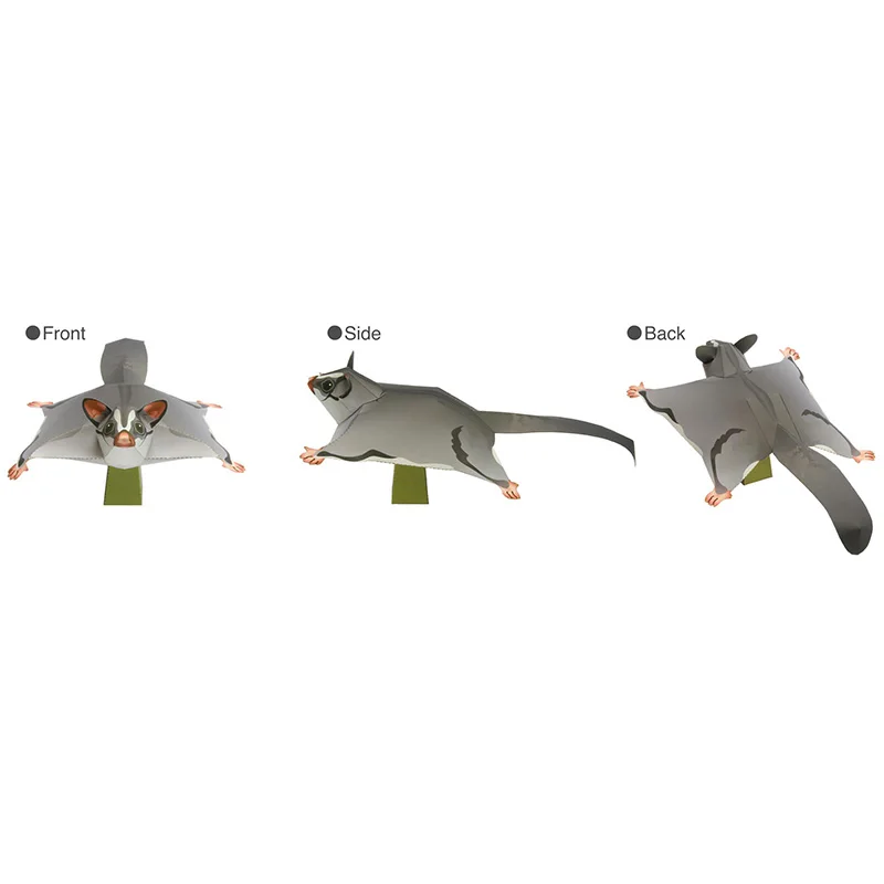 Sugar Glider Flying Mouse Hand - Art Craft Cardboard ulasan dan harga