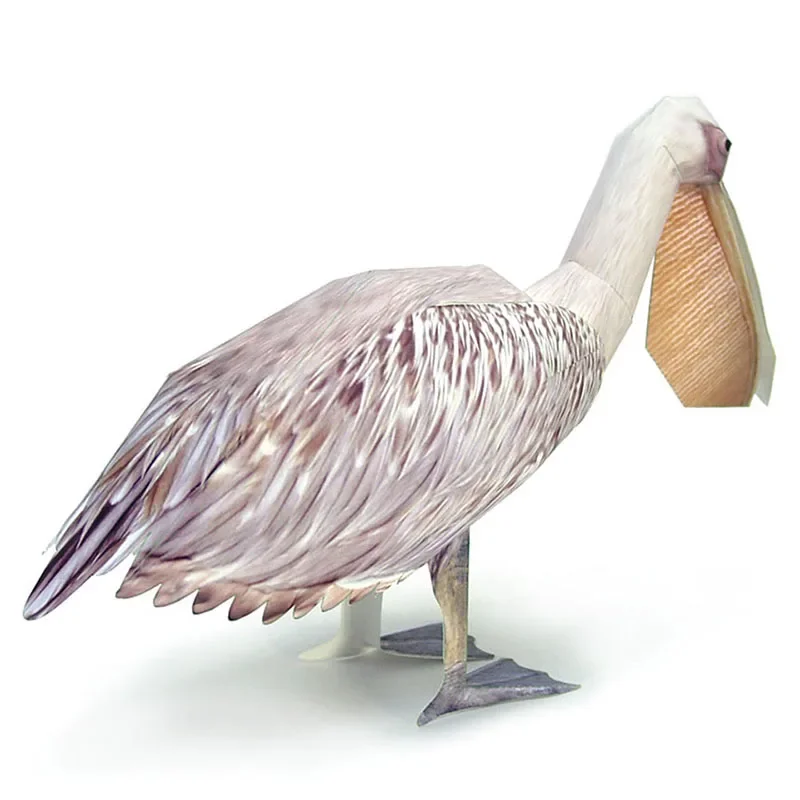 Great White Pelican Bird Paper - Art Craft Cardboard ulasan dan harga